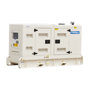 20KVA Diesel Generator 400V, 3 Phase: Powered by Perkins: WPS20S - Gogopower UK