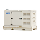 45KVA Diesel Generator 400V, 3 Phase: Powered by Perkins: WPS45S Side